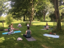 Zaterdagen in september:  Yoga in het park!